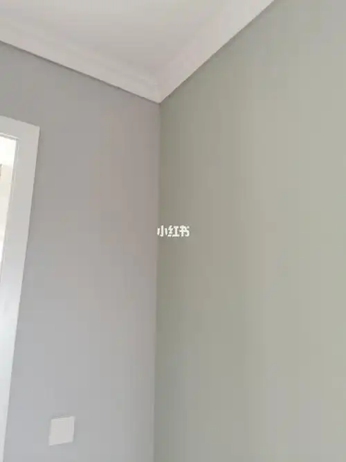 多乐士网红灰加2020年新色豆蔻青