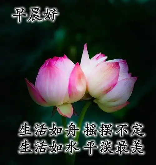 最美的早上好图片,适合发朋友圈的早安祝福语