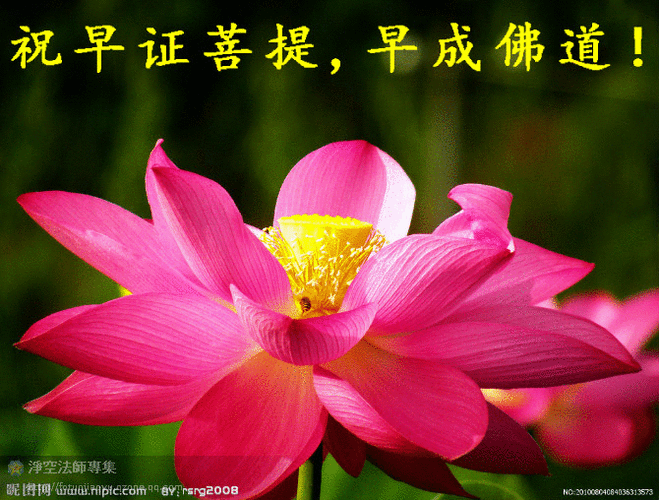 心魔不起,外魔不现-佛教导航