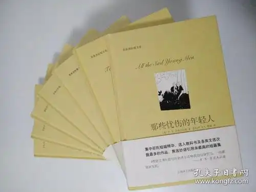 菲茨杰拉德文集精装七册合售爵士时代的故事飞女郎与哲学家美与孽末代