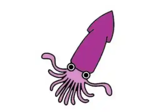 后面就是鱿鱼简笔画的绘画教程了,我们在对鱿鱼的刻画时,重点是画出