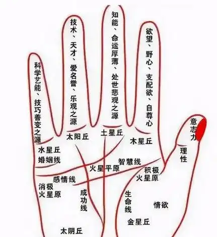 感情线,也被称为爱情线,可以代表六个方面