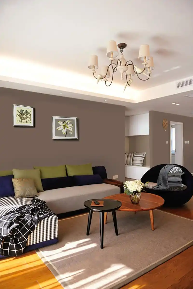 墙面乳胶漆颜色怎么选?十大品牌墙面漆性价比哪个高?