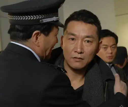 图追追追电视剧全集剧情解析看赵燕国彰带你破案寻真理