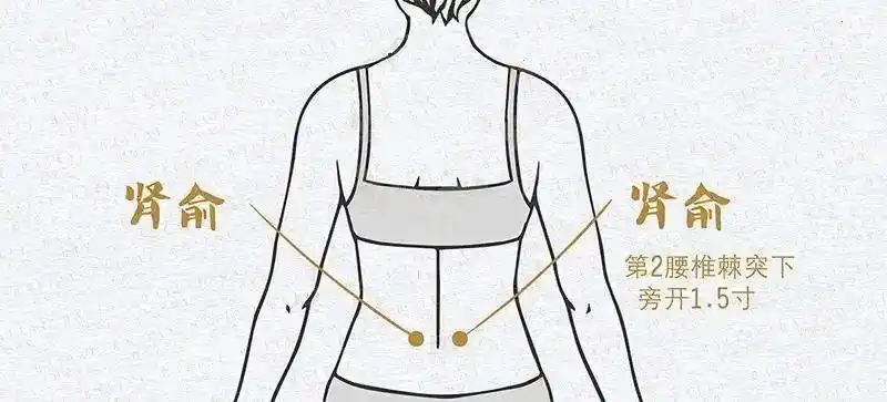 下肢的这几个常见症状,竟然是肾脏的报警信号!现在知道还不晚