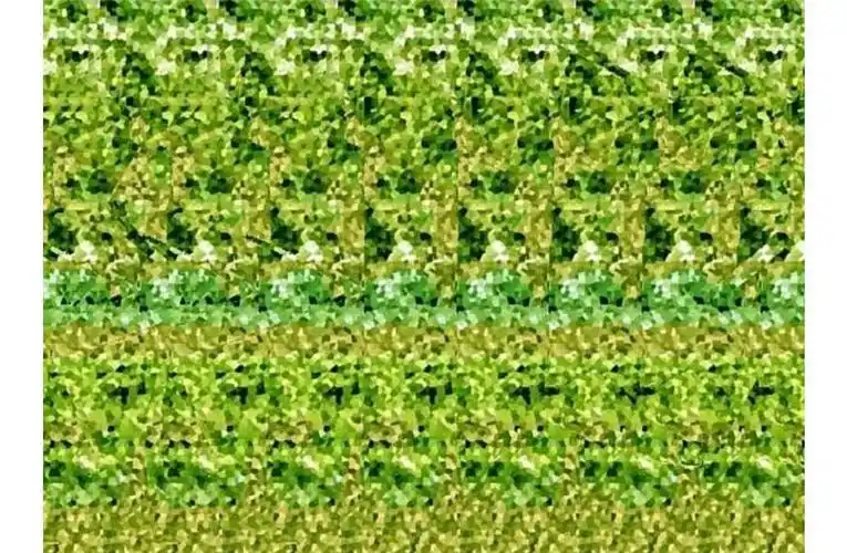 图二比翼双飞啊图三密密的芝麻吗图四同一副平面可以设计不同的立体?