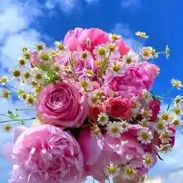 漂亮花朵头像图片大全