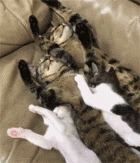 第一次看到这么刺激的踩奶场面,好紧张!