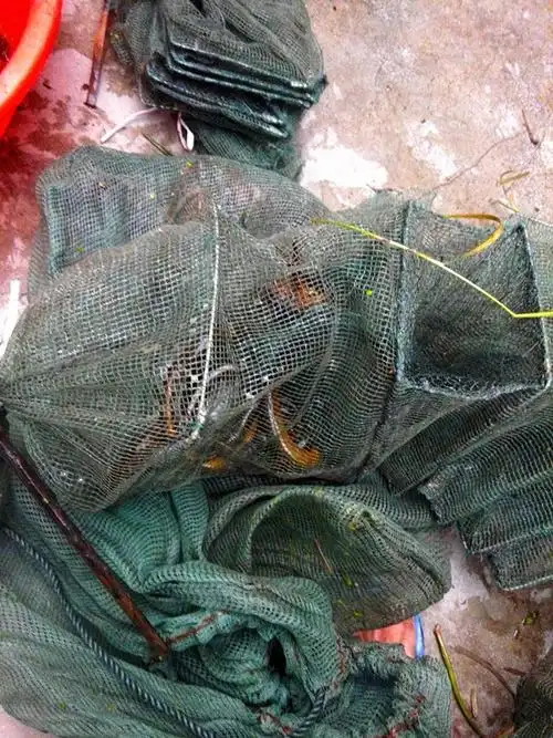 张瑞兵精品黄鳝网小兵网小兵笼抓鳝鱼逮黄鳝淘宝兽哥老王的文章