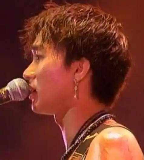 1993黄家驹在日本东京舞台跌落(黄家驹演唱会上说)(7)