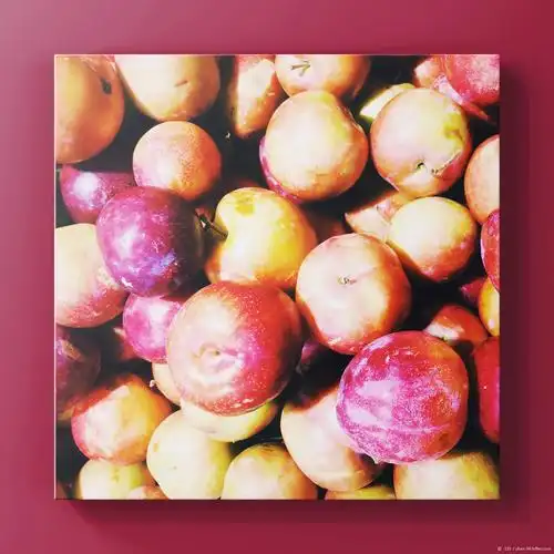 水果颜色与搭配