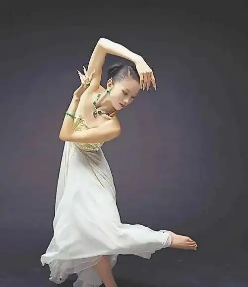 杨丽萍,为跳舞不生孩子不吃米饭