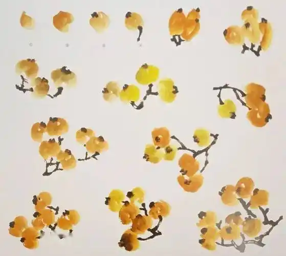 国画教程写意枇杷画法步骤你会了吗