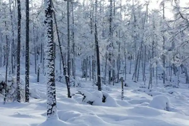 心理测试哪一幅雪景最寒冷测你的感情能不能经得住考验