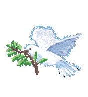 (素材)花鸟鱼虫免抠动图