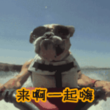 soogifgifsoogif出品gif狗gif来啊一起嗨gif