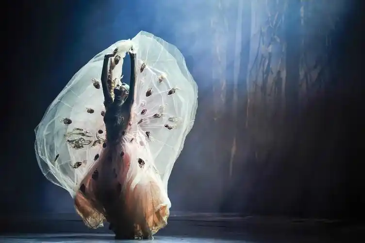 舞蹈家杨丽萍的《雀之灵》