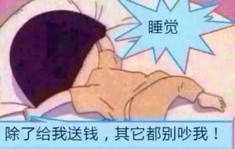 除了给我送钱,其他都别吵我! 睡觉