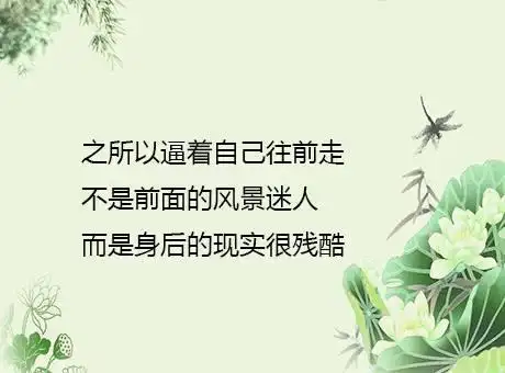 7条精选的人生感悟,说尽人生百态,带你领悟真谛!