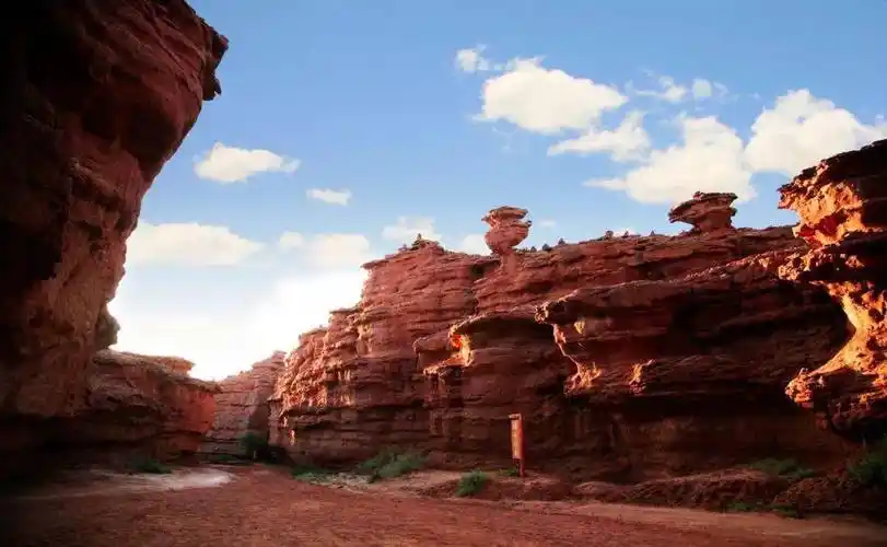 新春新玩法线上云旅游阿左旗文旅局邀您线上游阿拉善