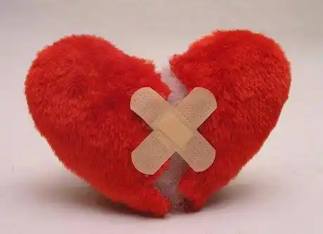 当我捧着一颗无比火热的心朝你靠近的时候,你却毫不犹豫的把那颗火热