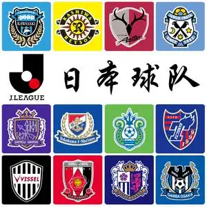 日本j联赛 球队logo 队标烫印 球衣diy 队服队徽印刷胸标制作加工