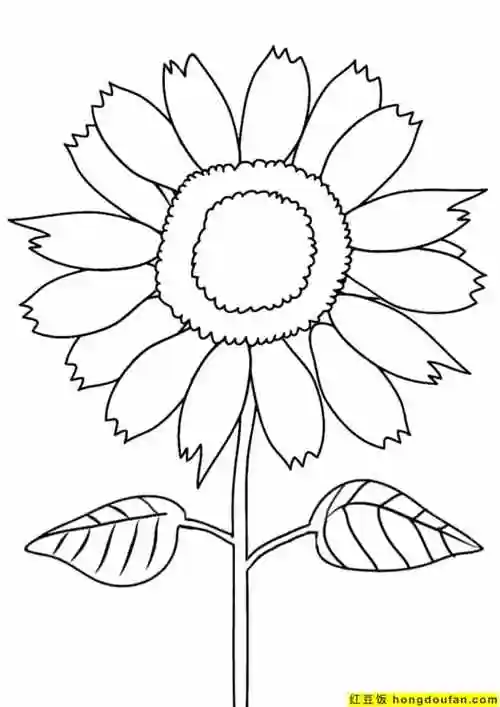 10张生气的高兴的向日葵花朵卡通儿童简笔画-红豆饭小学生简笔画大全