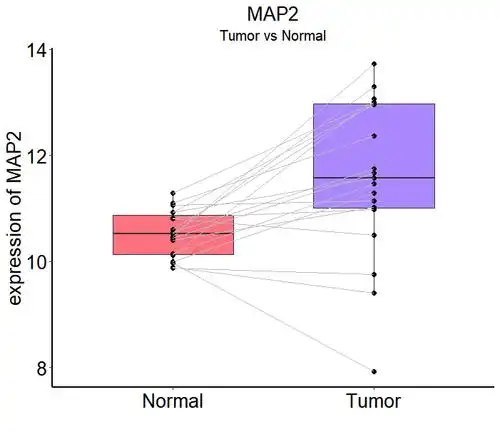 r语言绘制配对样品箱线图