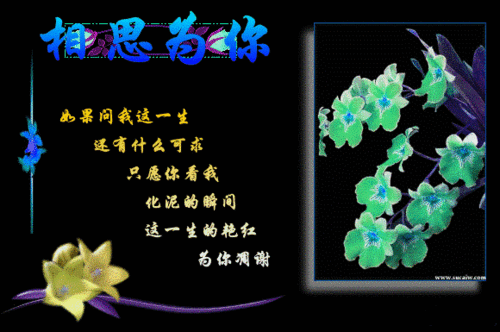 请输入帖子标题 字数上限40个汉字