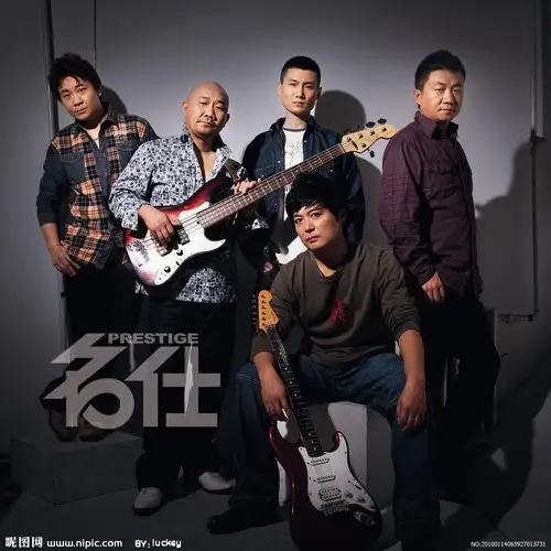 黑豹图片专题,黑豹下载_昵图网nipic.com