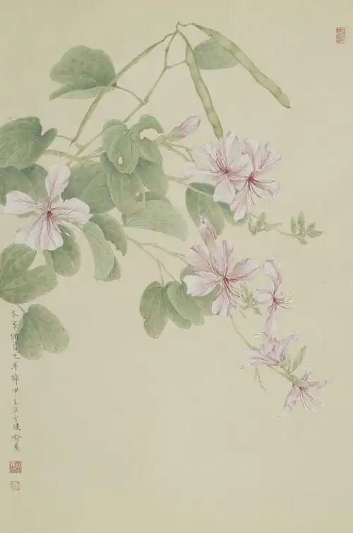 喻慧工笔花卉本草纲目专题系列