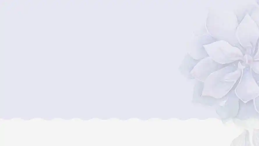 大气高端淡雅ppt背景图