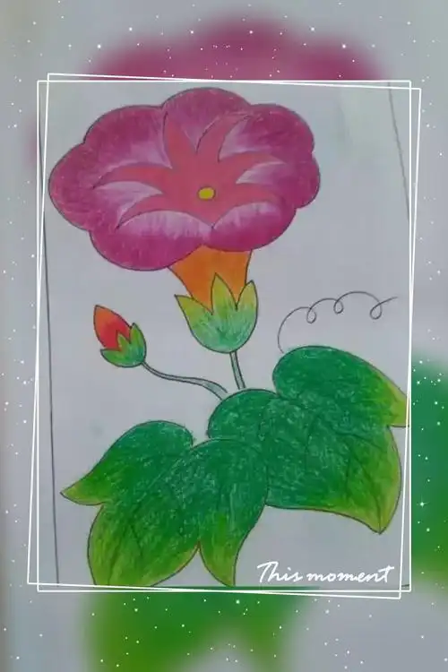 联系电话:13663584868 写美篇                1一2年级,数学,语文