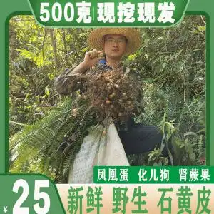 纯野生新鲜石黄皮凤凰蛋蛇蛋马骝卵肾蕨果化狗儿蜈蚣草500克包邮