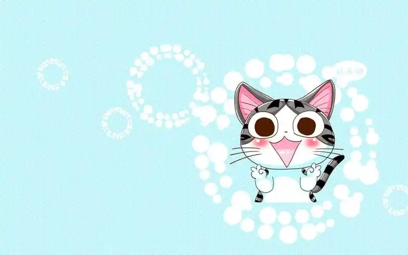 精选可爱卡通猫咪剪刀手高清桌面壁纸下载_卡通动漫_壁纸下载_美桌网