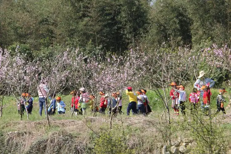 小班《春天里》主题审议下的集体户外活动暨小班幼儿第一次踏春毅行 -