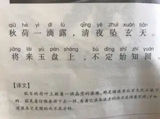 22咏露珠二6金艳