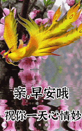 10月30日最漂亮早上好动态表情图片大全早晨好动图美图大全