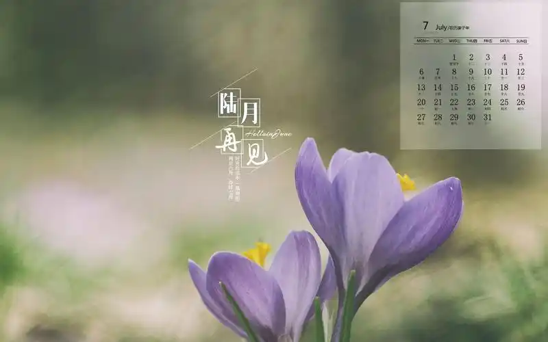 2020年7月清新文字图片日历壁纸