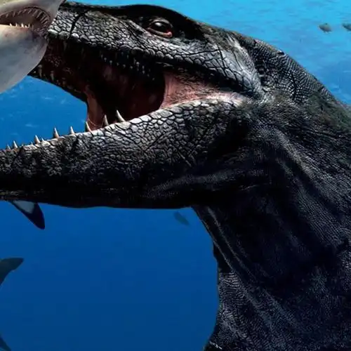 十大灭绝的可怕古生物-奇虾上榜(海洋三大霸主之一)-排行榜123网