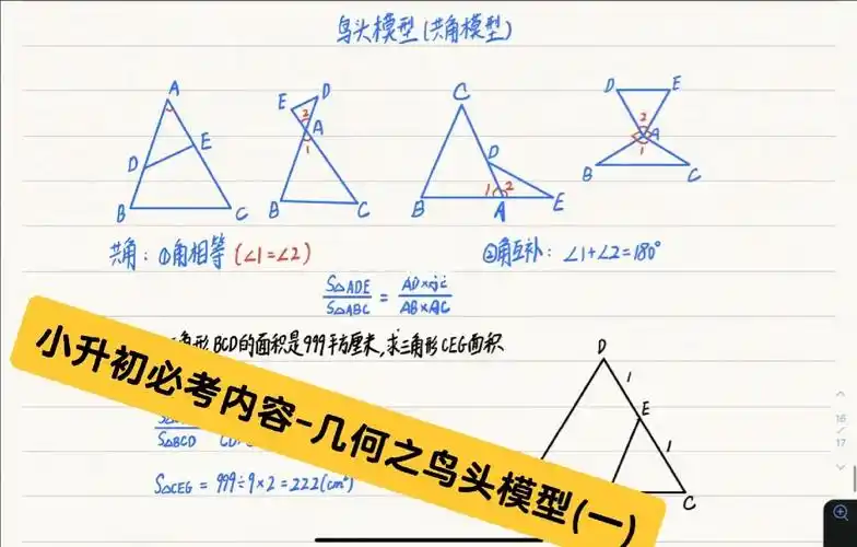 小升初必考内容几何之鸟头模型一