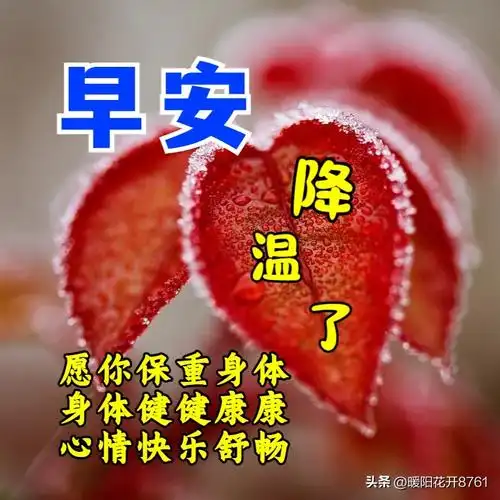 最新早安问候暖心句子秋冬交替天气降温注意保暖