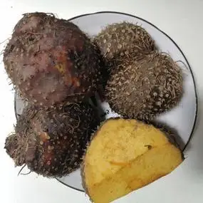 中药材黄药子贵州新鲜野生500g包邮 黄独 黄狗头 零余薯 新鲜现挖