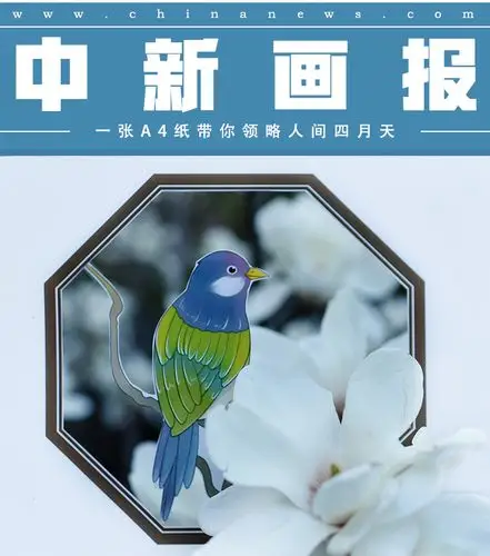 图刊一张a4纸带你领略人间四月天