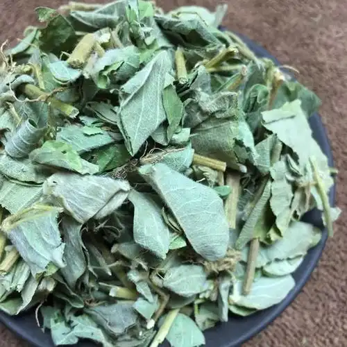 金钱草茶广西天然新鲜广野野生干溶石结石肾泡广金钱草