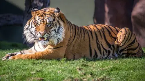 温州鞋厂被国外退货50万双 老板为何坚持不裁员?