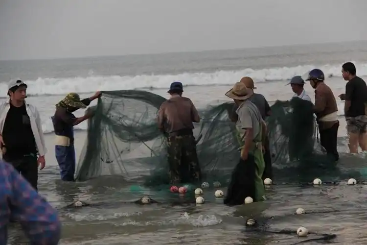 海边风情_----拖网
