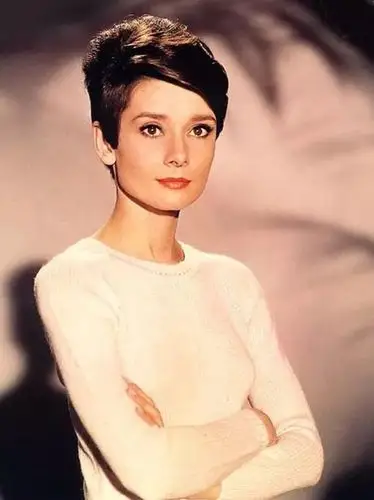 赫本-堆糖,美好生活研究所