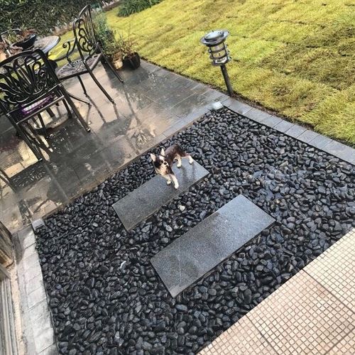 50斤天然白色鹅卵石庭院装饰鹅软石暖石其它园艺用品