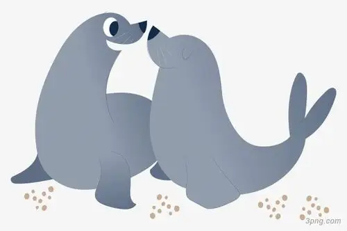 可爱灰色情侣海狮png素材透明免抠图片动植人物